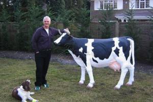 China Outdoor Decoration Animatronic Animals , Electric Life Size Cow wholesale