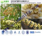 herbal medicine Bosboswellia serrata extract-wellic acid 65% -Boswellia carterii