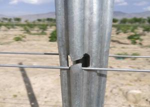 China 275g/M2 Vineyard Stakes / Metal Post Stakes Customized Length / Thickness wholesale