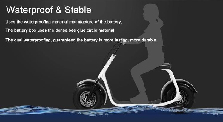 1000w 1500w 2000w Big Fat Tire Coco Harley Electric Scooter Golf EEC Approved