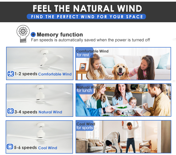 Class A Energy Efficiency Ceiling Fan with Comfortable Design and Adjustable Wind Speed