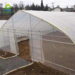 Tropical Film Plastic Poly Tunnel Agricultural Greenhouses Single-span For