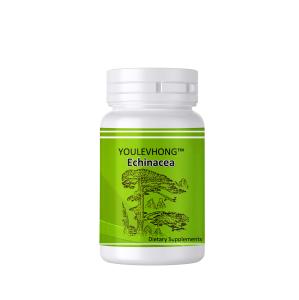 China Echinacea Supplements Daily Health Brain Food Supplements Wound Healing wholesale