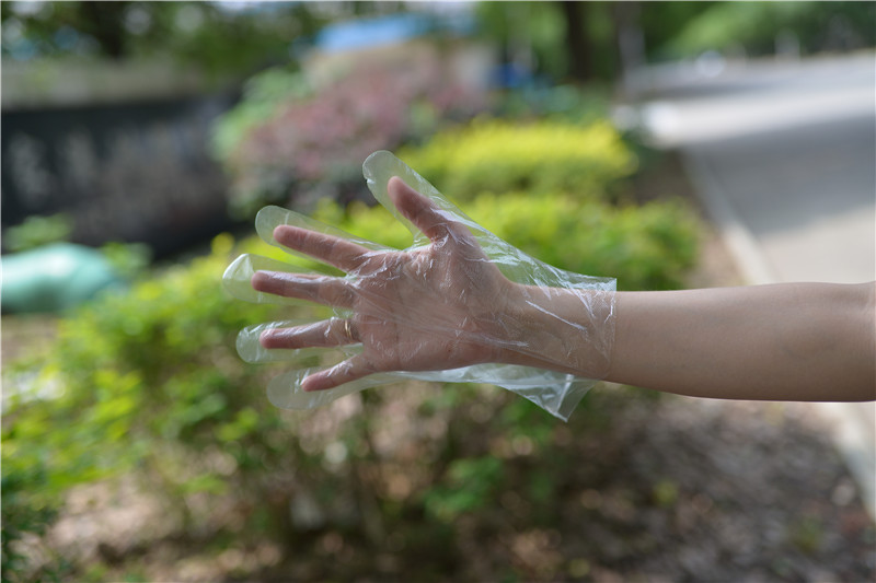 Cleaning Kitchen 0.8g Disposable Plastic Gloves 100pcs/Bag