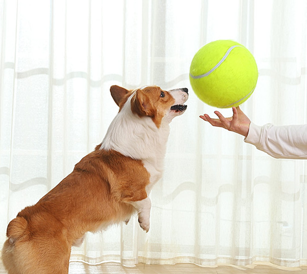extra large tennis ball for dogs