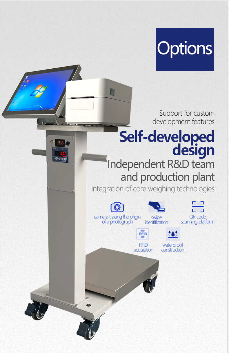 Blue SOHE Y15A Move Printer with 800kg Load Capacity and Touch Screen Network Software