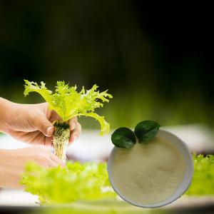 China Biostimulants Organic Nitrogen Fertilizer Amino Acid 80% Powder 14-0-0 wholesale