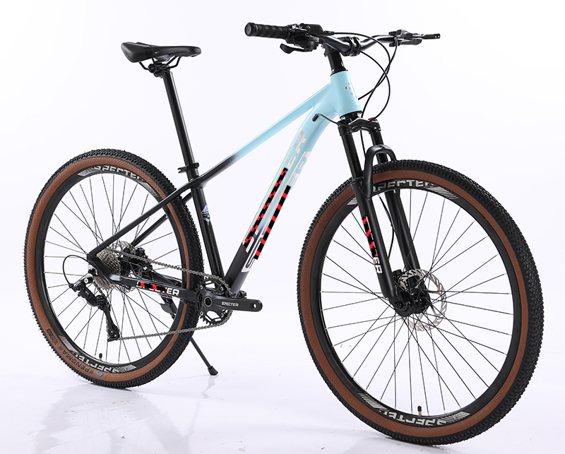 Aluminum Alloy Rim Mountain Bike Gear Cycle Hydraulic Groupset 10 12 Speed MTB Bike 29 Inch Bicycle Custom OEM Bicicleta