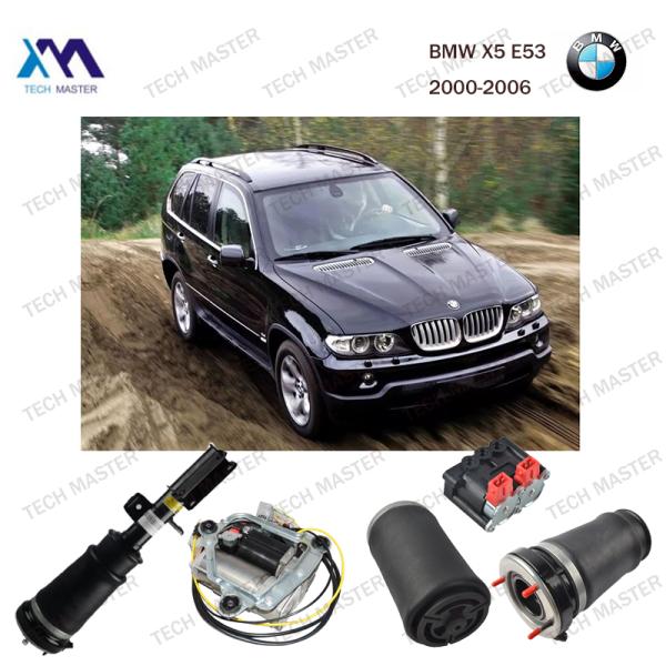 37116757501 37116757502 Front Air Strut Assembly For BMW X5 E53 Suspension Shock Absorbers