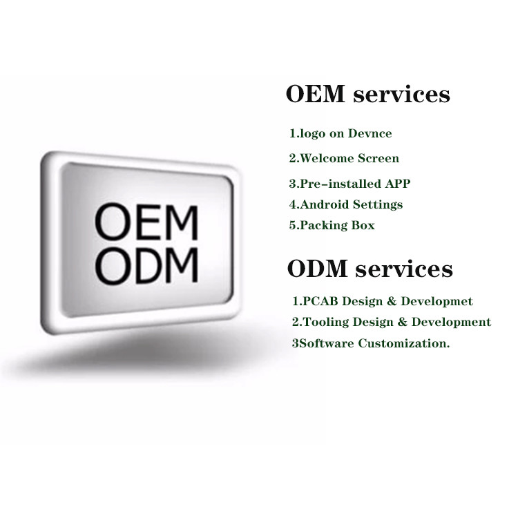 OEM ODM Fingerprint Door Lock Black Smart Home Gate Lock With Surveillance Camera