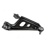 XINLONG LION Auto Parts Front Left/Right Lower Suspension Control Arm OE