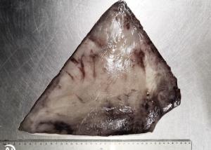 China Block Frozen Giant Squid Fin Cartilage Off Bqf Size 300g - 500g Size wholesale