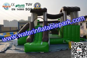 China Indoor and Outdoor Inflatable Bouncy Castle with Slide wholesale