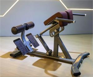 China Fitness Equipment Back Exercise Adjustable Back Extension Roman Chair wholesale