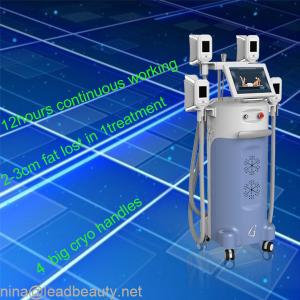 China Body firming and shaping 4 Big heads cryolipolysis slimming machine wholesale