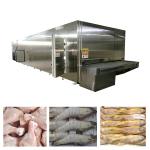 Automatic IQF Shock Fruits Vegetables Instant Food Freezing Machine