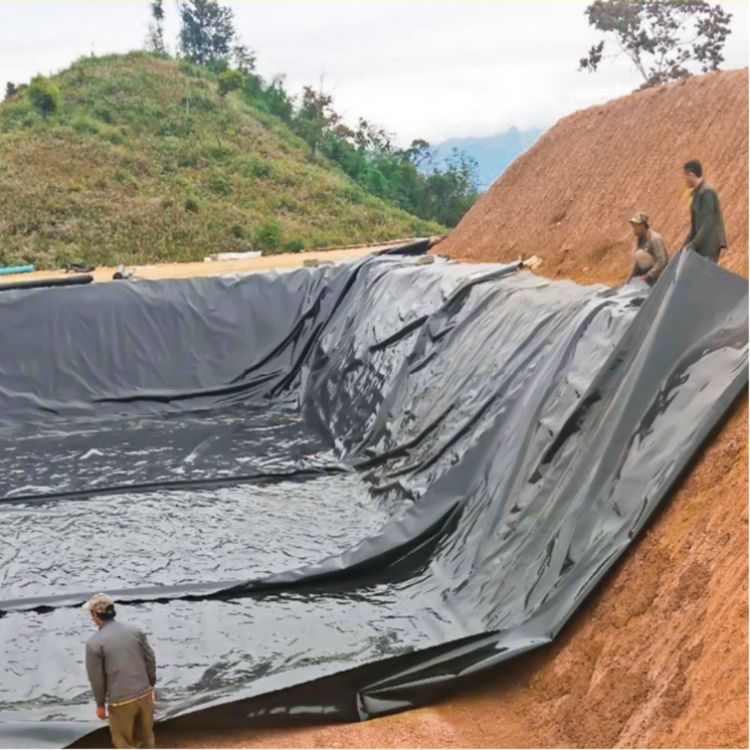 Smooth Geomembrane Fish Pond Lining Impermeable Membrane for Modern Design Directly