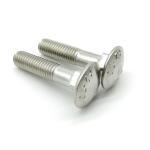DIN603 A2-70 Stainless Steel Screw Square Neck Carriage Bolts