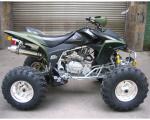Extra Large Youth Racing Atv 250cc Atv Quad Bike CDI Electric Start Manual