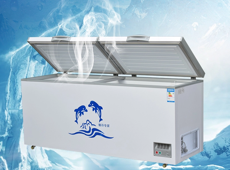 220L Deep Chest Freezer R600A Refrigerant ROHS Certificate