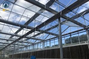 China Multi Span Agricultural Large Glass Greenhouse Production Equipment For Tomato wholesale