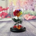 rose gift Factory Wholesale Eternal Beautiful Forever Little Prince Roses