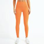 Oem Factory Manufacturer Custom Logo Adults High Waist GYM Fitness Leggings