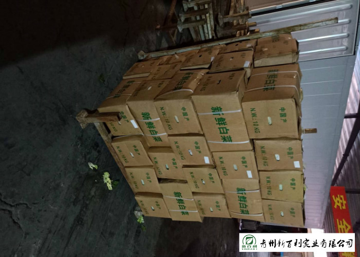 Nutritious Chinese Green Cabbage Helps Improve Digestion Easy Stockpile