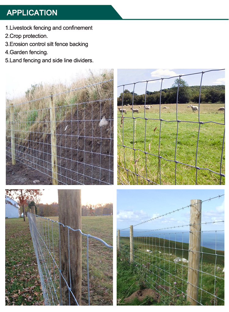 Hinge Joint Knotted Field Wire Fence With Hot Dipped Galvanized Surface