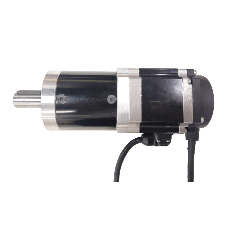 Access Control System 200W 36V 60mm servo motor 75RPM High level water proof