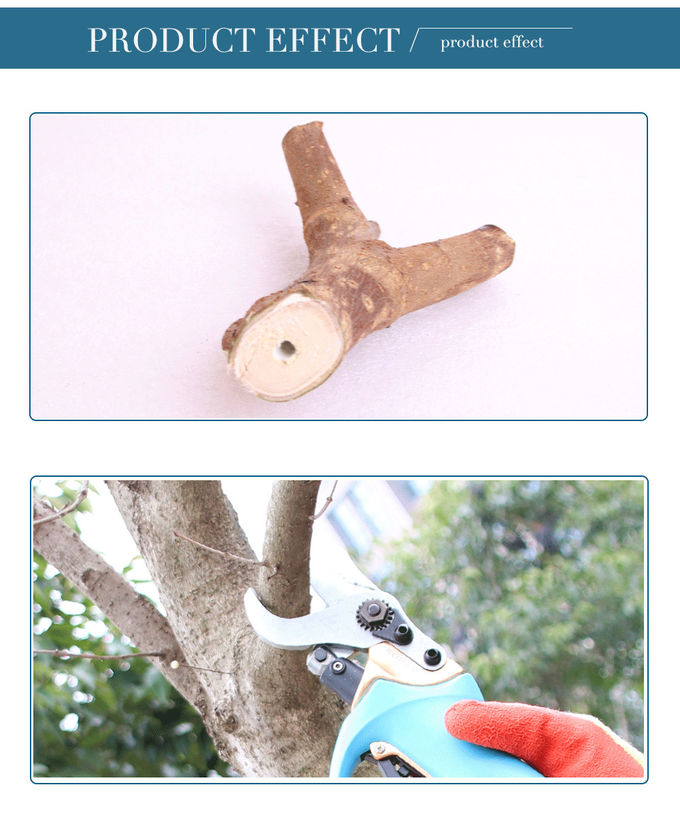 Swansoft 800g 3.0CM Electric Bypass Pruner Fruit Orchard Pruning Shear 36V 4AH