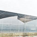 Tropical Roof Ventilation Strawberries Seedbed Nursery Multi Span Greenhouse