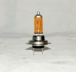 China H7 BULBS wholesale