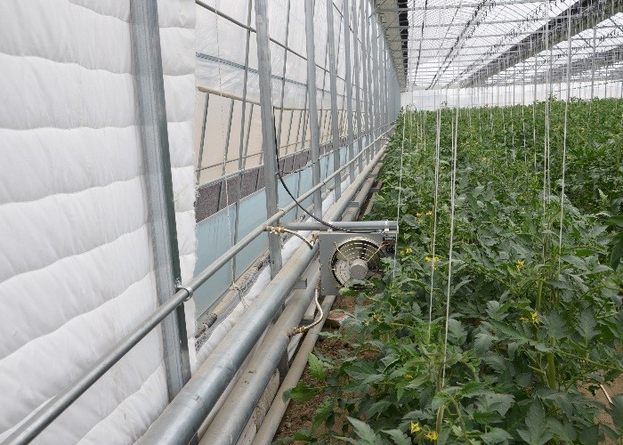 Double Layer Plastic Film Greenhouse With Cooling System Heating System Shading System Grow Tomatoes
