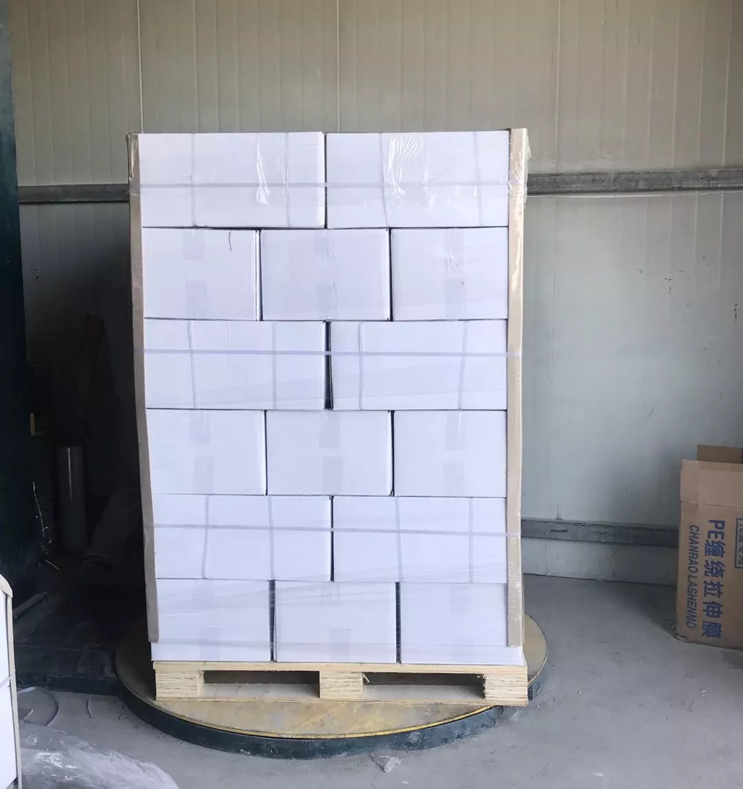 Activated Zeolite Powder Paint Additives