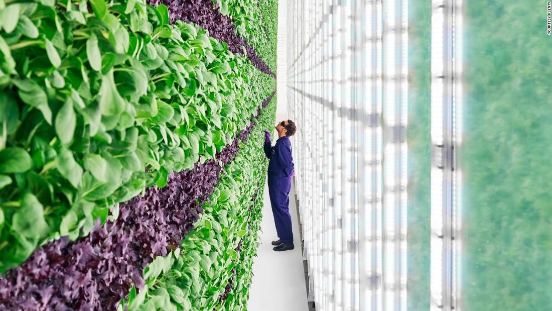 120-277V 277-480V LED Grow Lights For Vertical Farm Organic Plants OEM design available