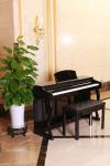 Where to supply durable electric piano: manufacturers Custom Digital Musical
