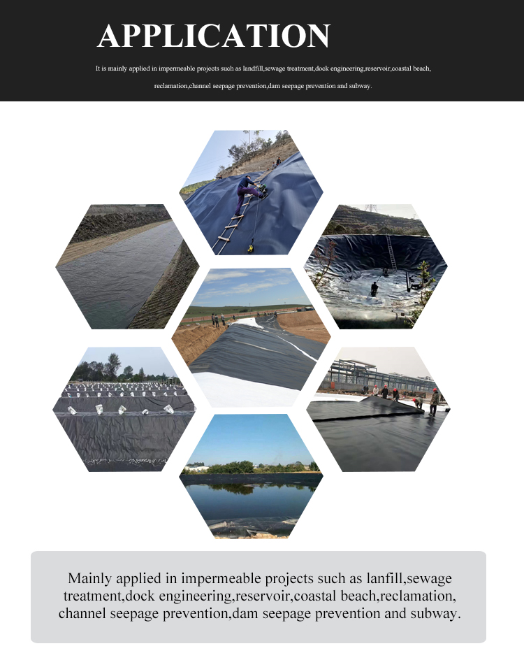 CE Certified HDPE Black Anti-Seepage Geomembrane for Industrial Design Style Landfill