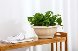 China 30cm Colander PP 10 Inch Nursery Resin Terracotta Plant Pots wholesale