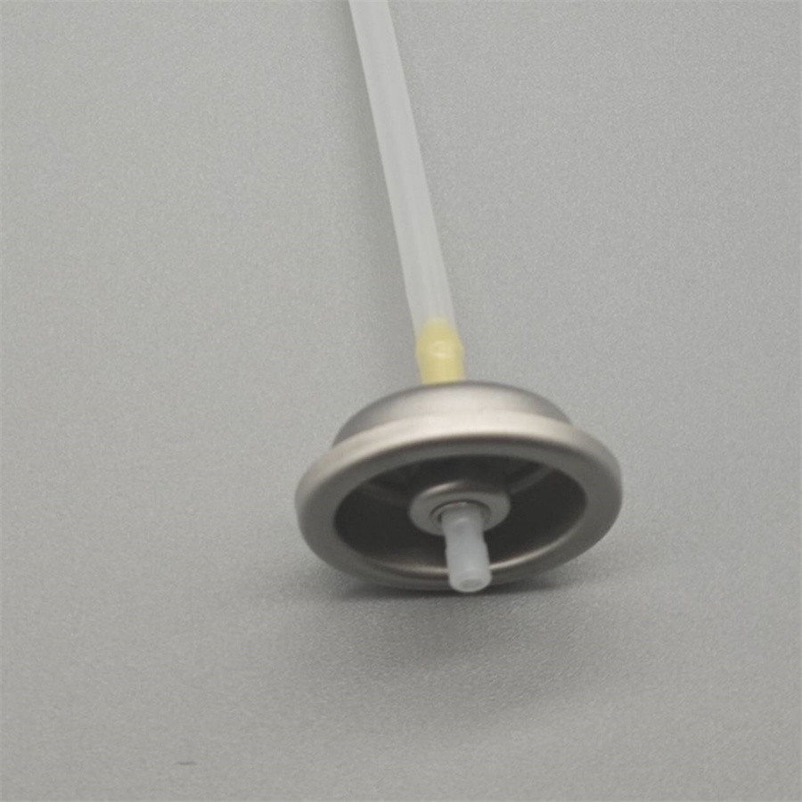 Compact Facial Water Spritzer Valve for Travel - Lightweight and Easy to Use