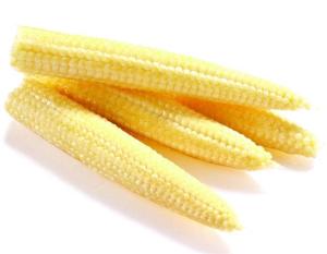 China Canned baby corn wholesale