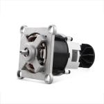 Brushless DC Motor for High Speed Blender