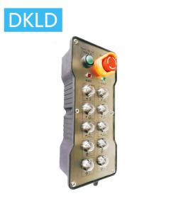 China Ten-way single speed switch industrial remote control wholesale
