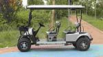 Electric Leisure 4x4 Golf Cart Buggy 5KW With Lead Acid Battery