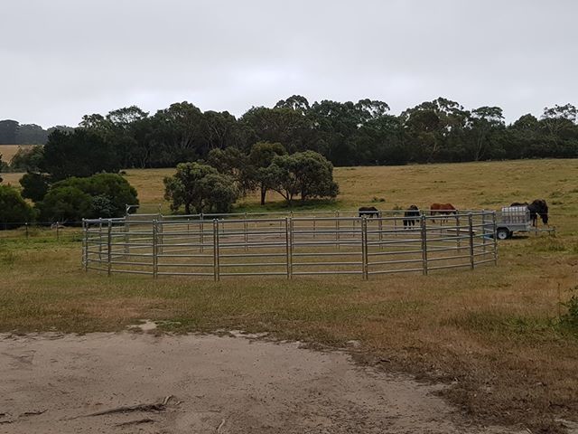 15pcs Bundle Heavy Duty Portable Cattle Panels For Sale & Gate