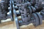 F11 Socket Weld Gate Valve Handwheel Operation For Petrochemical Industry/forged
