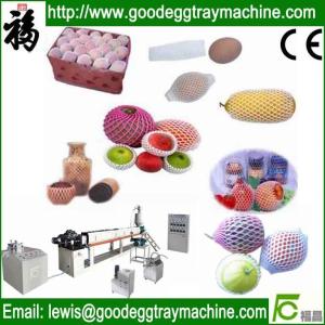 China PE foaming fruit packaging net making machine wholesale
