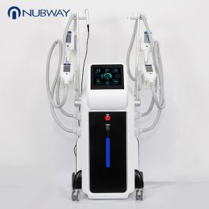 China 4 Handpieces Cold Lipolysis Criolipolisis fat freeze cryolipolysis slimming machine wholesale