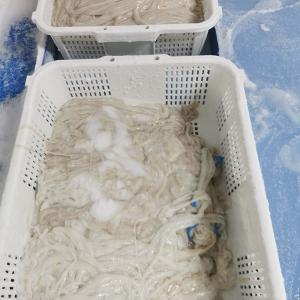 China No Additives 100% Natural Lamb Casings High Burst Strength wholesale