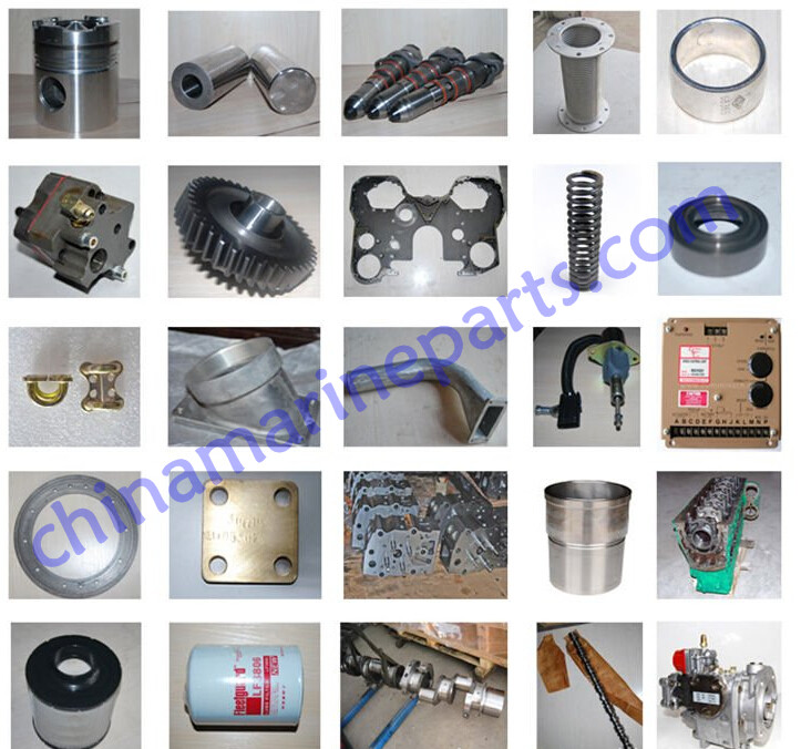 Cummins engine parts 12PK2350 belt Size Designation 12PK2350 Micro-V AT Premium OE V-Ribbed Belt